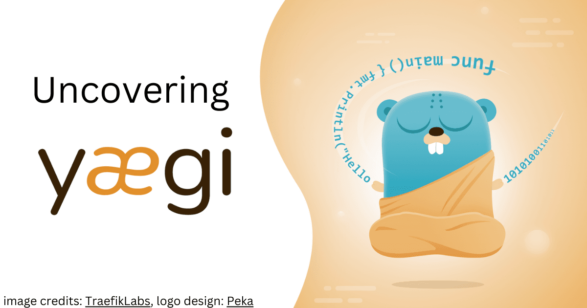 Exploring the Features and Functionality of Traefik Yaegi